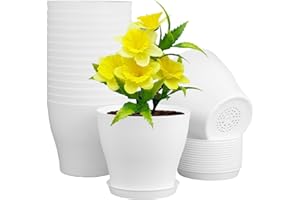 Meowell 6 inch Plastic Nursery Pots, Seedling Pots, 16 Pack Plant Pots for Small Indoor Outdoor Plants, Flower Pots with Drainage Holes and Saucers, Decorative Planters for House Plants, White