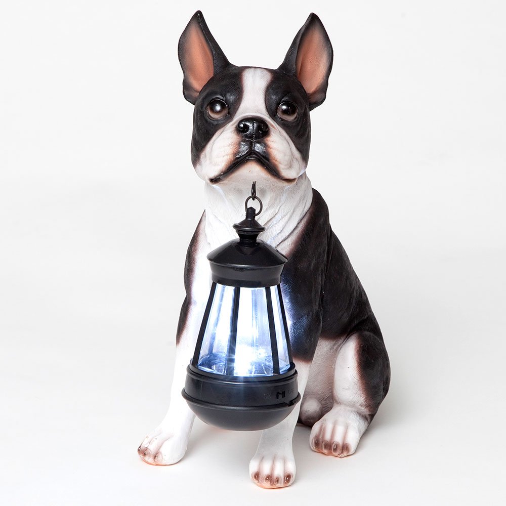 Photo 1 of Bits and Pieces - Boston Terrier Solar Lantern Statue - Yard Decorations - Solar Powered Garden Lantern - Resin Dog Sculpture - Outdoor LED Lighting