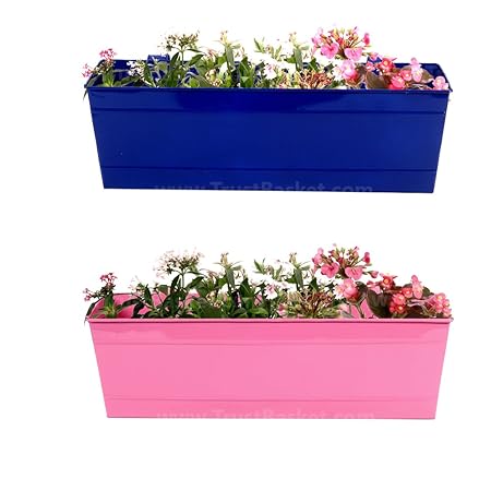 TrustBasket Set of 2 - Rectangular Railing Planter - Blue And Magenta (18 Inch)