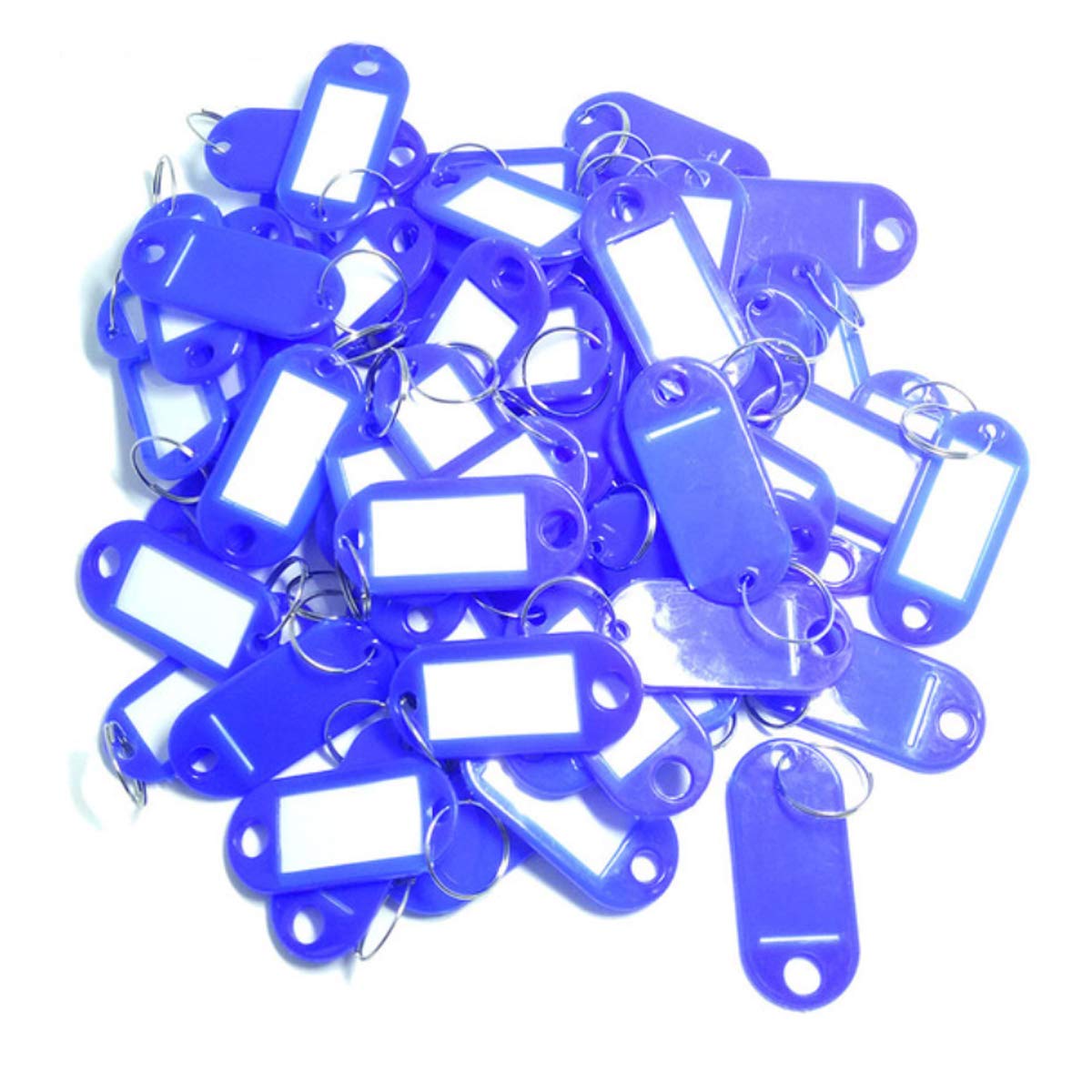 TOOLSTAR Key Labels, 100PCS Key ID Tags Key Labels Tags Plastic Key Tags, Tags with Key Rings as Key Fobs Luggage Pet Name Memory Stick Tags (Blue)