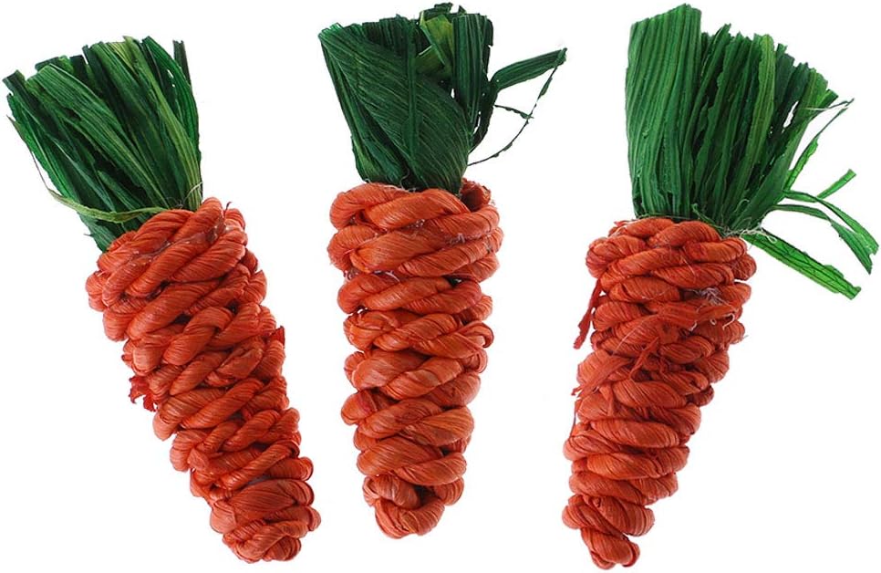 ZOOMY 3 Pieces Carrot Shaped Tooth Cleaning Toys Chew Bite Pet Toys for Rabbit Hamster Guinea Pig