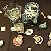 LOVEINUSA Sea Shell Assortment, Sea Shells with Jar Mixed Natural Beach Decorative Seashells for DIY Home Gifts Crafting 50~70 PCS Valentine's Day Gifts