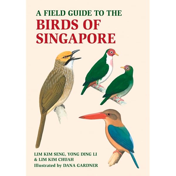 Oxford英語絵本170冊 songbirds Fireflies 多読 Oxford英語絵本170冊 songbirds Fireflies 多読