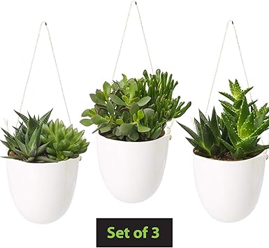 Hanging Planters For Indoor Plants Home Wall Bathroom Decor White Ceramic Succulent Cactus Plant Hangers Air