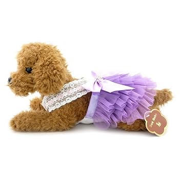 Amazon Com Ranphy Small Dog Cat Tutu Chihuahua Wedding Dress Pet