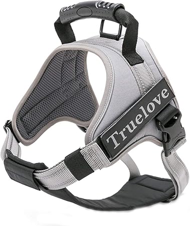 true love harness amazon