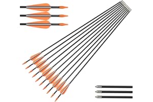 WANGQIN ARCHERY Archery Practice Fiberglass Arrows 24/26/28/30 Inch Target Shooting Safetyglass Recurve Bows Suitable for Youth Children Woman Beginner 6-12PCS