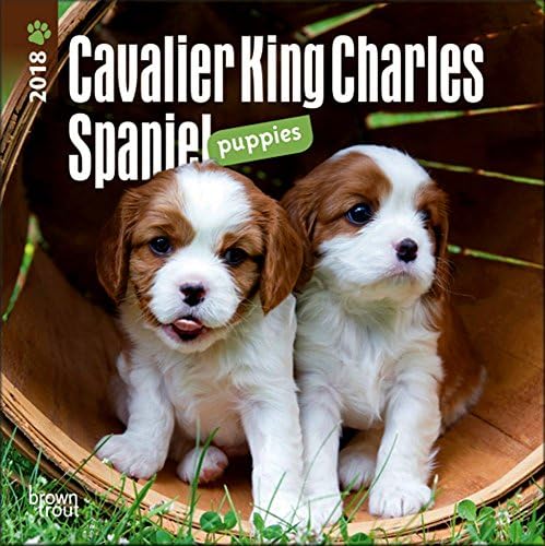 Cavalier King Charles Spaniel Puppies Mini Calendar 2018 - Deluxe Small Wall Calendar (7x7)