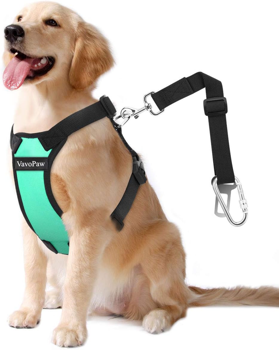 dog car leash