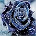 Adarl 5D DIY Full Drill Diamond Painting Rhinestone Blue Rose Pictures of Crystals Diamond Dotz Kits Arts, Crafts & Sewing Cross Stitch