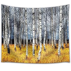 Yellow and Dry Grass on a Forest with Aspen Trees - Fabric Tapestry, Home Decor - 51x60 inches