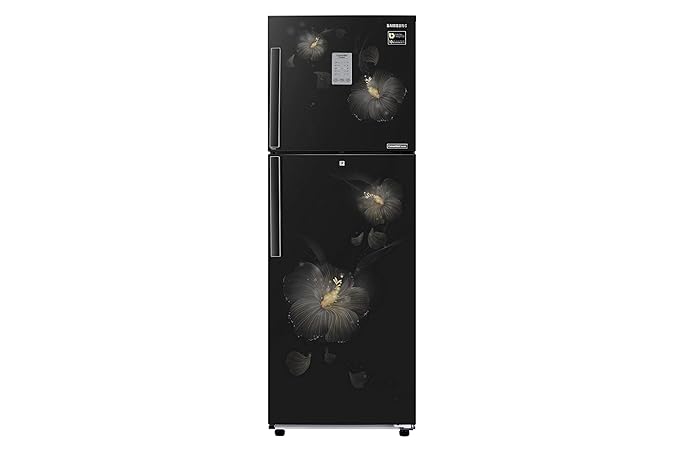 Samsung 253 L 3 Star Frost Free Double Door Refrigerator(RT28M3983B3/HL, Rose Mallow Black, Convertible, Inverter Compressor)