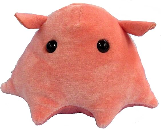 Amazon 海中散歩 ふわもこぬいぐるみ Sサイズ メンダコ ぬいぐるみ おもちゃ