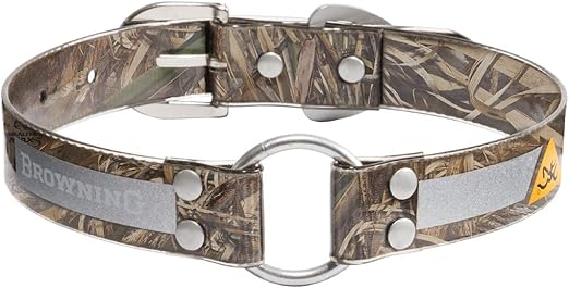 buy cinnamon micro poodle