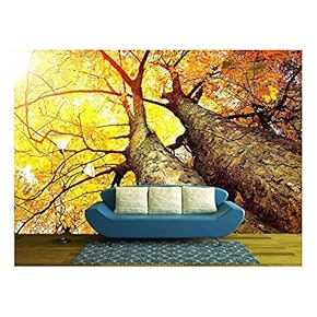 Autumn Trees Fall - Removable Wall Mural | Self-Adhesive Large Wallpaper - 66x96 inches