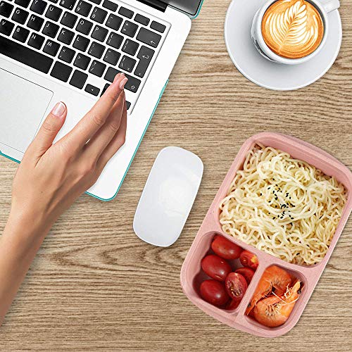 Bento Lunch Box,Food Storage Containers with Airtight Lids, 3 Compartment Plastic Divided Food Storage Container Boxes for Kids & Adults
