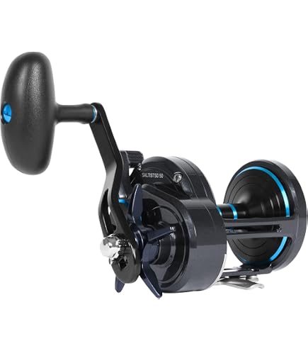 Amazon.com: Daiwa 22SALTIGA 15 Bait Reel for Jigging : Sports
