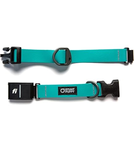 Fi Compatible Dog Collar Fi Series Smart Dog Collar GPS