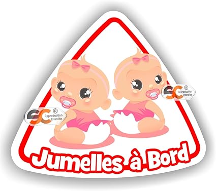 Jumelles A Bord Fille Fille Sticker Autocollant Jumeaux Bebe A Bord Modele 3 Amazon Fr Bricolage