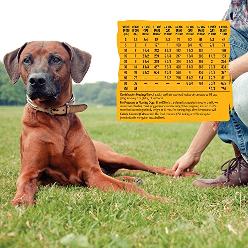 Wellness CORE Puppy Dog Food - Image 9