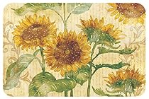 Reflections of the Sun Vinyl Reversible Placemats Set of Four