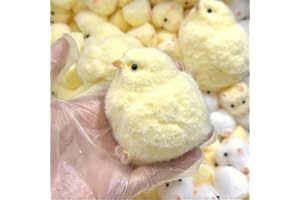 JIACAI 1pcs Handmade Chick Squishy Toys Ultra Soft squishies Fidget Toys Silicone Squeeze Toys for Stress Relief ( Chicken )