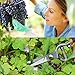 VicTsing Professional Graden Pruner Kit, Bypass Gardening Hand Shears and Micro-Tip Snip Sharp Blades Clipper with Portable Oxford Pouch, Perfect Tools Set for Comfortable Trimming（Set of 2）