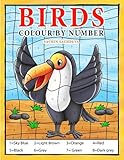 Birds: Colour by Number book for Kids and preschoolers by Sachin Sachdeva