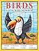Birds: Colour by Number book for Kids and preschoolers by Sachin Sachdeva