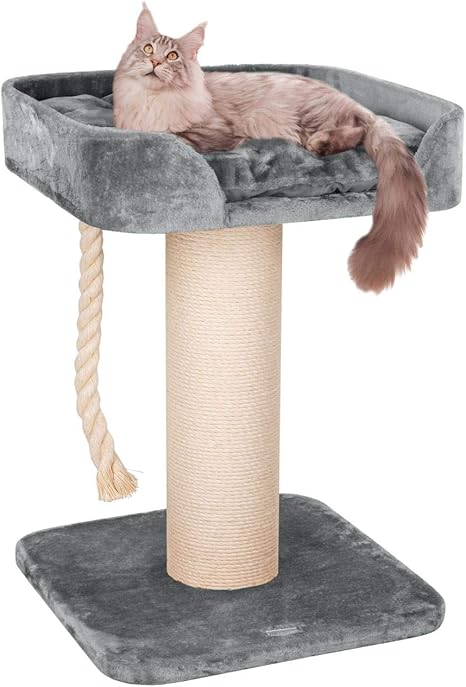Happypet Massif Premium Arbre A Chat Maine Coon Compact Tower I Pour Gros Chats 8 Mm En Sisal 17 Cm Piliers Hauteur 100 Cm Amazon Fr Animalerie