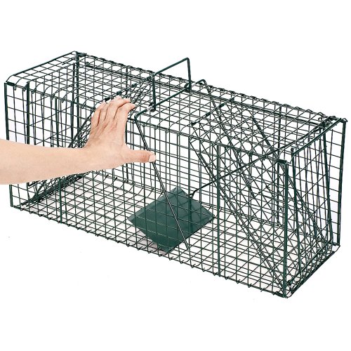 Pet Trex Dual Door Live Animal Trap Racoon Skunk Cat Traps, 26" Buy