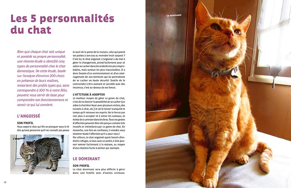 Rendre Son Chat Heureux Amazon Co Uk Claustres Francoise Icard Virginie Books