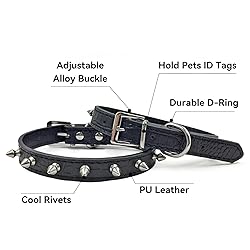 Enjoying Spiked Cat Collar, Leather Spikes Dog