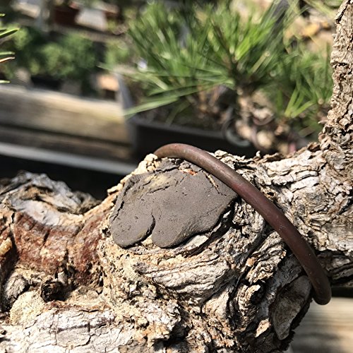 Japanischer Mastix, Heilpaste speziell für Bonsai-Laubbäume, 160 g – Bild 7