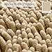 MAYSHINE Plush Shaggy Chenille Bath Mat | Extra Soft, Super Absorbent, Non-Slip Bathroom Rug | Fluffy Microfiber, Area Rug Sets for Bathroom Floor, Kitchen, Living Room | 32