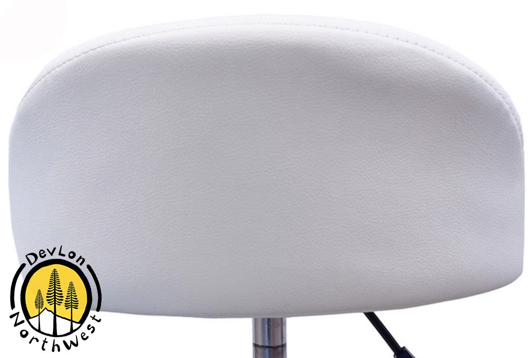 DevLon NorthWest Salon Stool with Back Rest Saddle Hydraulic Spa Stool (WHITE): Beauty