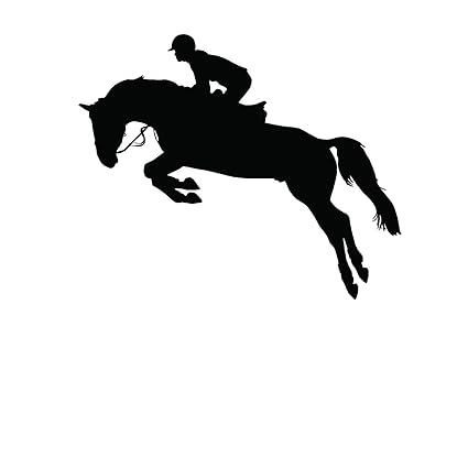 Horse Jumping Wall Art Stickers Vinyl Decal Stylish Home Graphics Lounge Bedroom 11 Inch