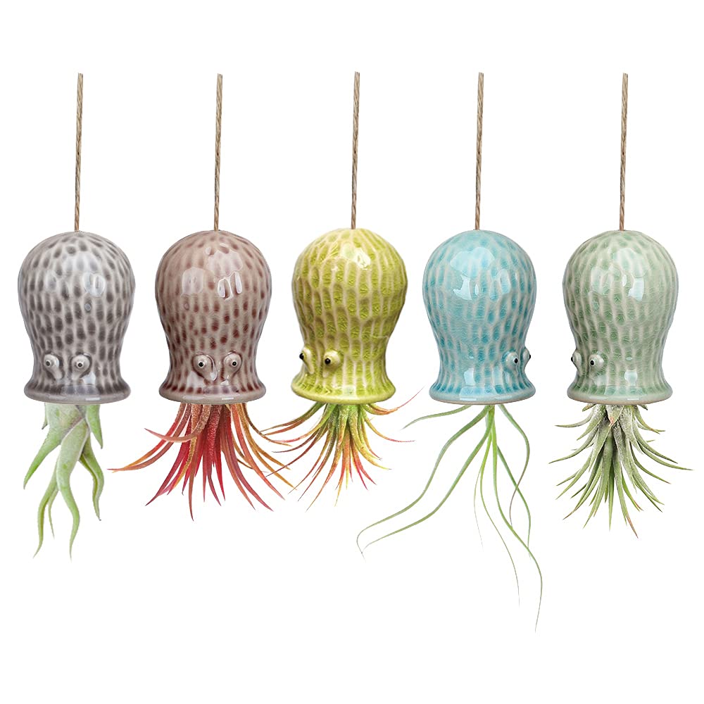 Mimeela 5 Pack Air Plant Holder Unique, Cute Octopus Air Plant Hanger Wall Planter, Ceramic Tillandsia Airplants Holders Hanging Wall Decor for Home Office (Small (2 x 3.2 in)) — image 1