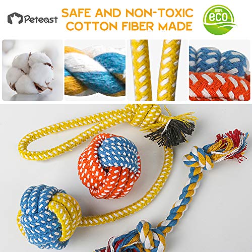Peteast-3 Squeaky Toys and 3 Rope Dog Toys, No Stuffing Squeaky Plush Fox Raccoon Squirrel, Puppy Chew Teething Rope Toys Set for S/M/L Dogs Pets Animals