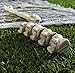 Skeleton Decoration Bone Décor, Bag of Bones, 6 inches to 16 inches, 12 Piece Set