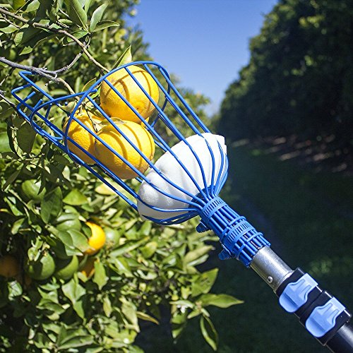 EVERSPROUT TwistOn Fruit Picker Basket, Twists onto Standard US