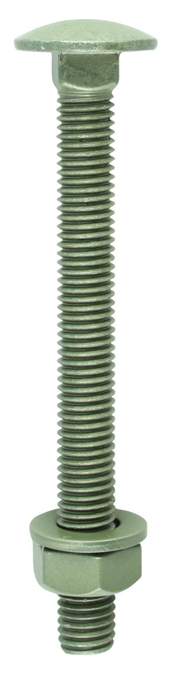 TIMCO 10200INCB Index Coach Bolt, Nut and Washer 10 x 200 - Organic Green (Bag of 10)