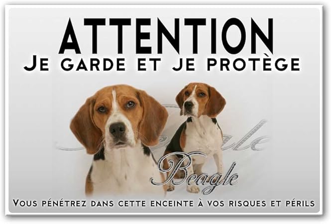 Pets Easy Plaque Attention Au Chien Chien Beagle