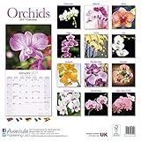 Image de Garden Calendar - Flower Calendar - Orchids Calendar - Calendars 2016 - 2017 Wall Calendars - Orchids 16 Month Wall Calendar by Avonside