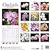 Garden Calendar - Flower Calendar - Orchids Calendar - Calendars 2016 - 2017 Wall Calendars - Orchids 16 Month Wall Calendar by Avonside