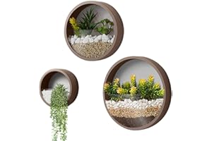 ZEETOON Modern Wall Planters Wall Vase Succulent Planter Circle Round Flower Pot Metal Iron Indoor Vertical Container Wall Hanging Home Decoration Size S,M,L 3 Pack Set