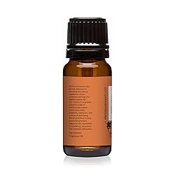 Cinnamon Premium Grade Fragrance Oil - Scented Oil