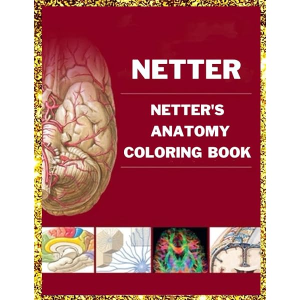 NETTER'S ANATOMY COLORING BOOK: Netter's Anatomy Designs in a Kids