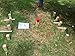 SPORT BEATS 3 in 1 Combo Toss Games,Ladder Ball Toss,Corn Hole Boards Bean Bag Toss Game, Washers Toss Game,Yard Outdoor Family Game-Backyard Fun Camping Games (3 in 1 Combo Games)