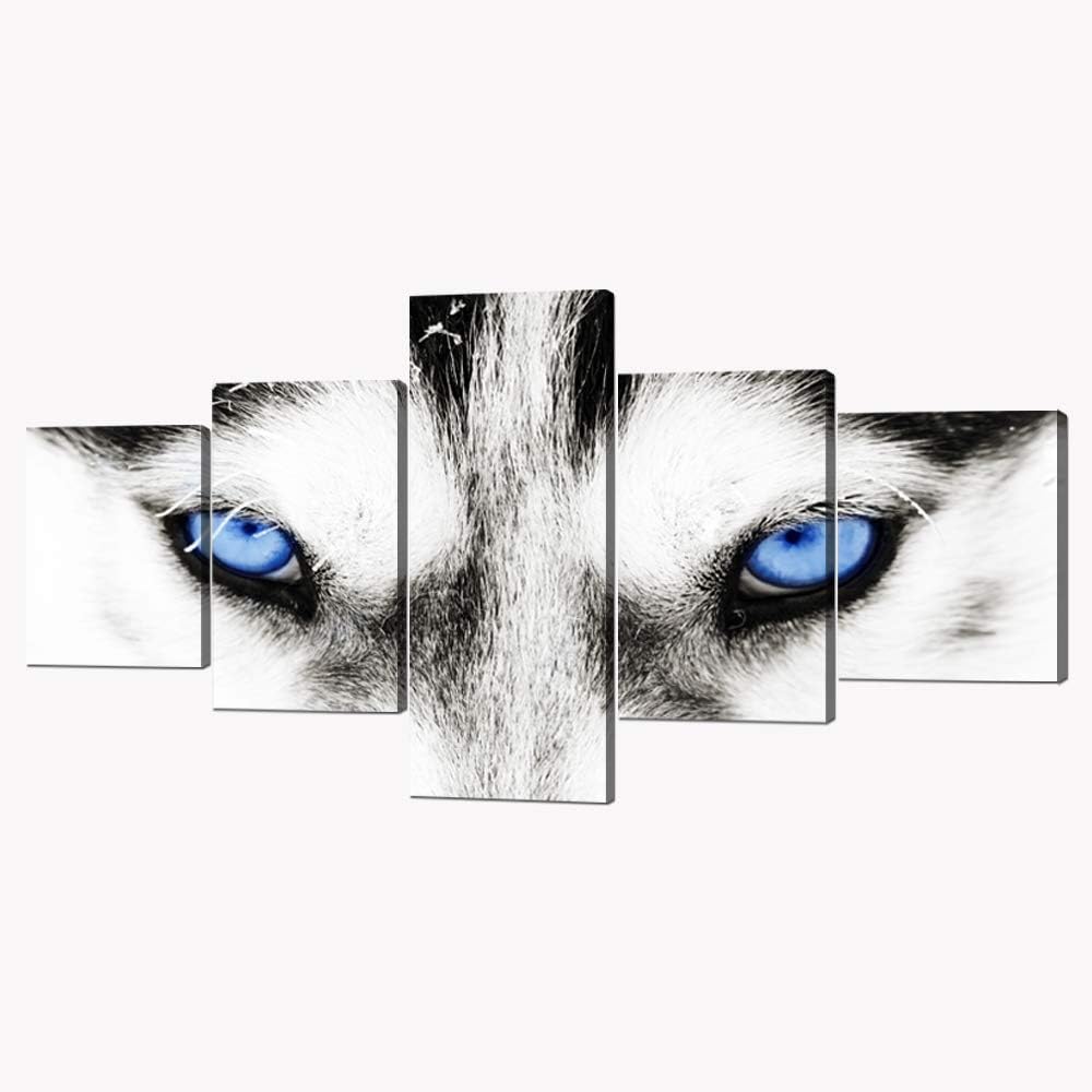 Best Home Decor Photos Huskey